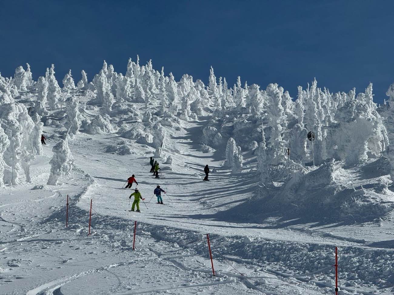 Skiers descending a snowy run below a ridge of heavily snow-laden trees under a deep blue sky